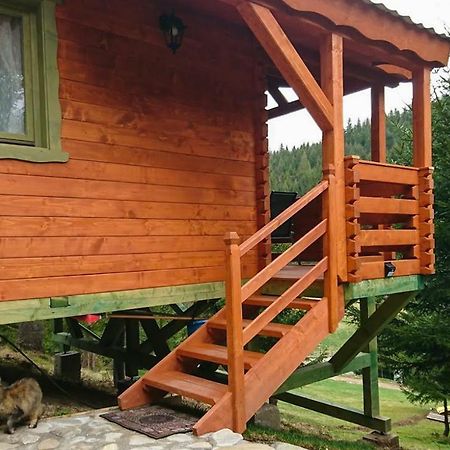Cabana Casa Craita Zărneşti Exterior foto
