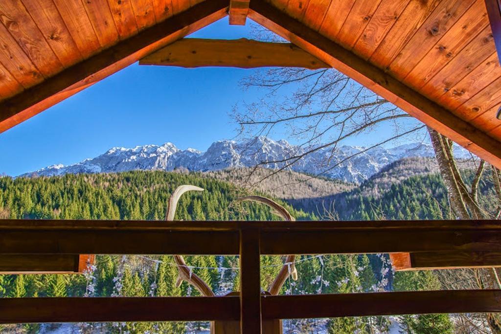 Cabana Casa Craita Zărneşti Zimmer foto