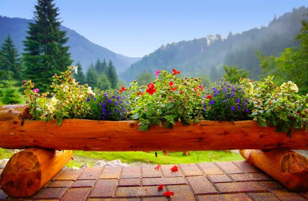 Cabana Casa Craita Zărneşti Zimmer foto