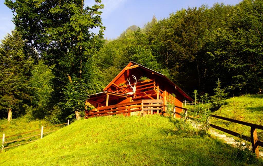 Cabana Casa Craita Zărneşti Zimmer foto